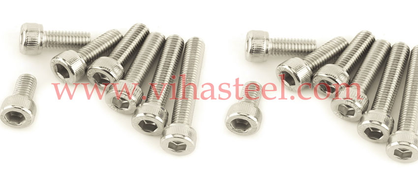 Stainless Steel 304 Screws manufacturers in India