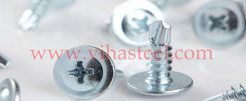 Stainless Steel 310S Screws manufacturers in India