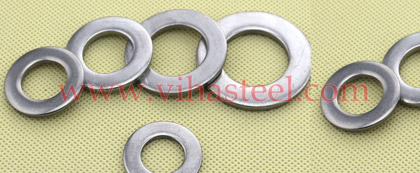 Stainless Steel 316 Washers manufacturers in India
