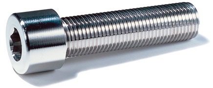 Stainless Steel Bolts