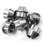 12-Point Stainless Steel Nuts
