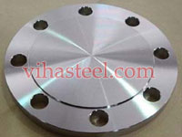 ASTM A182 F317 Blind Flange