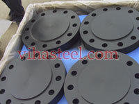 A694 F52/ F60/ F65 Carbon Steel Blind Flange