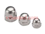 Stainless Steel 904L Acorn Nuts