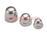 Stainless Steel SMO 254 Acorn Nuts