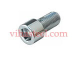 Super Duplex Allen Cap Screws