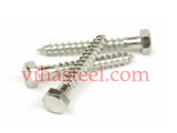 Astm A193 B8 Hex Lag Screw