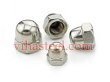 Duplex Steel Dome Nuts