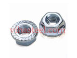 Stainless Steel 409 Flange Nuts