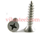 Stainless Steel 316 Phillips Head Screw