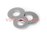 Inconel Punched Washer