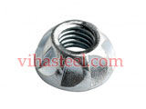 Stainless Steel 310H Security Nuts
