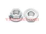 Stainless Steel 904L Serrated Flange Nut