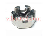 Titanium Slotted Nuts