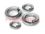 Stainless Steel 316L Spring Washer