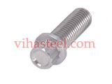Stainless Steel XM19 12 Point Flange Bolt