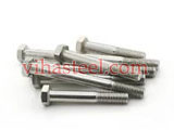 Stainless Steel SMO 254 Castle Tap Bolts