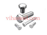 Duplex Steel Coil Bolts