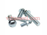 Stainless Steel XM19 Flange Bolts