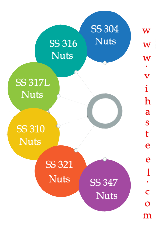 Stainless Steel 310S Nuts manufacturers