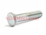 Stainless Steel SMO 254 Plow Bolts