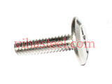 Titanium sidewalk Bolts