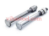 Duplex Steel Step Bolt