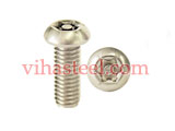 Titanium Torx Bolts