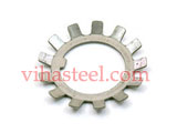 Inconel Star Washer