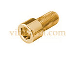 Copper Allen Cap Screws