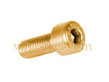 Cupro Nickel Cap Screws