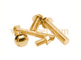 Phosphorous Bronze Flange Bolts