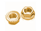 Phosphorous Bronze Flange Nuts