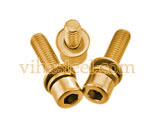 Cupro Nickel Sems Screw