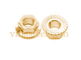 Aluminum Bronze Serrated Flange Nut