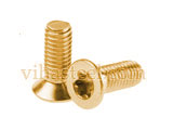 Silicon Bronze Thread Rolling Screw