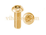 Copper Torx Bolts