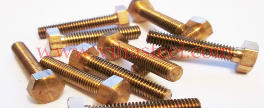 Phosphorous Bronze Fasteners manufacturer in India