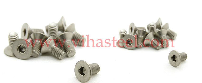 Titanium Gr 2 Screws manufacturers in India