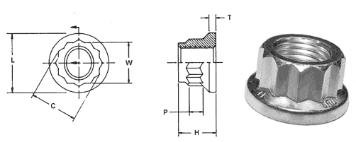 12-Point Nuts Dimensions