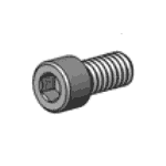 Socket Head Cap Screws