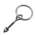 Stainless Steel Plain Ring Bolt