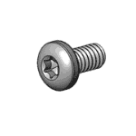 Torx Screws