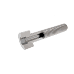 Vented Screws